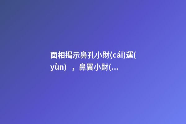 面相揭示鼻孔小財(cái)運(yùn)，鼻翼小財(cái)運(yùn)